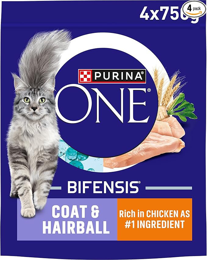 PURINA ONE Coat and Hairball Chicken Dry Cat Food 750g (Pack of 4)