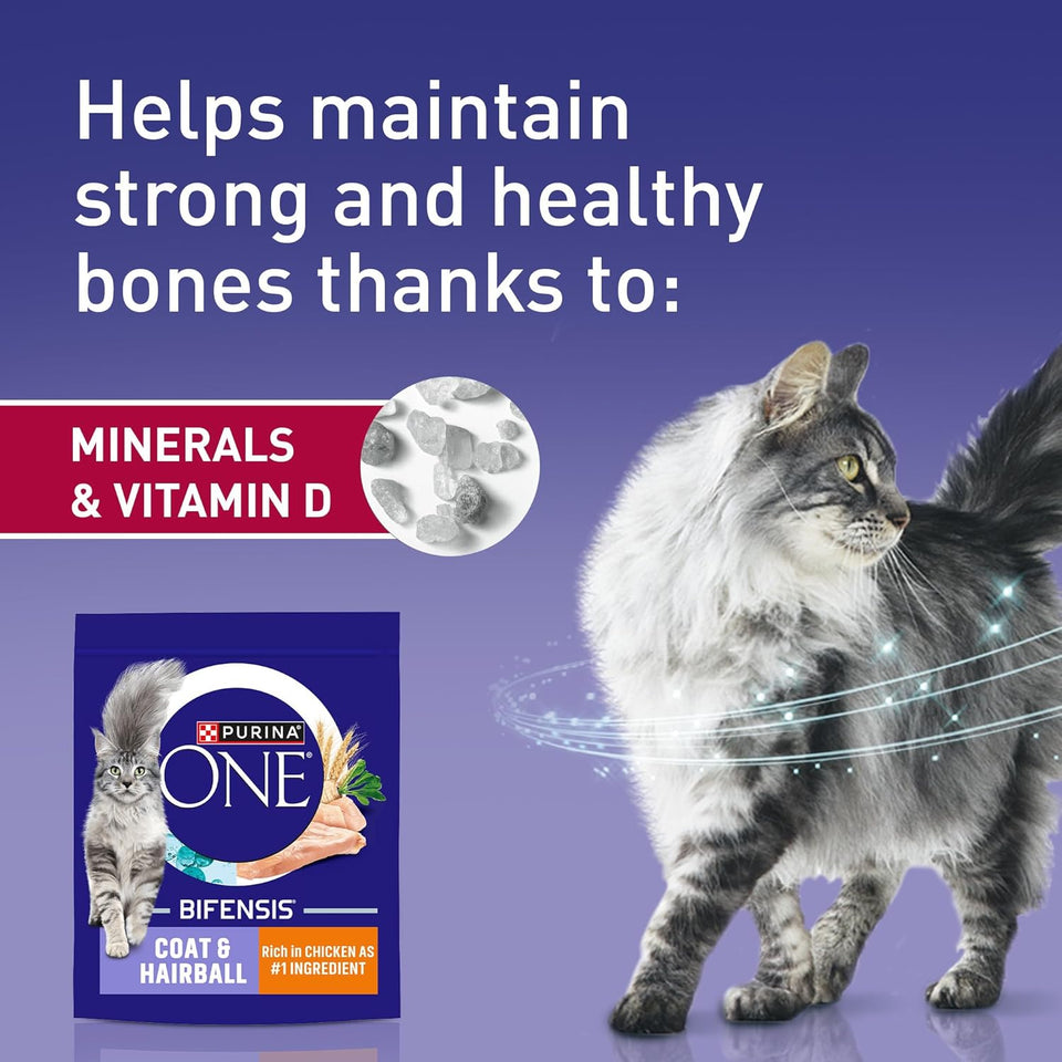 PURINA ONE Coat and Hairball Chicken Dry Cat Food 750g (Pack of 4)