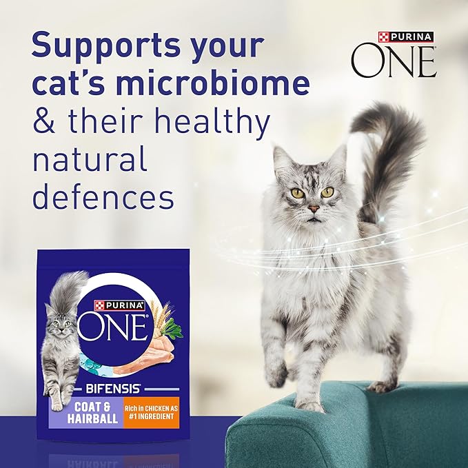 PURINA ONE Coat and Hairball Chicken Dry Cat Food 750g (Pack of 4)
