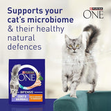PURINA ONE Coat and Hairball Chicken Dry Cat Food 750g (Pack of 4)