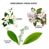 Color Wow Insta-WOW Advanced Dry Shampoo (150ml)